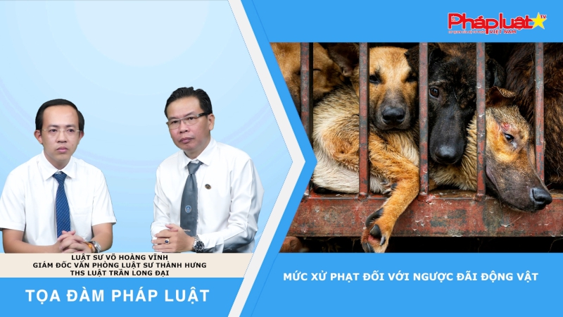Tọa đàm Pháp Luật: Mức xử phạt đối với ngược đãi động vật