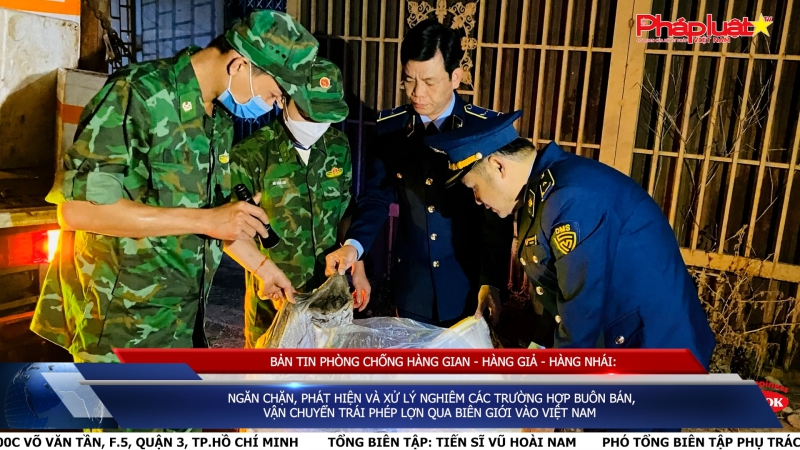 BẢN TIN PHÒNG CHỐNG HÀNG GIAN - HÀNG GIẢ - HÀNG NHÁI: Ngăn chặn, phát hiện và xử lý nghiêm các trường hợp buôn bán, vận chuyển trái phép lợn qua biên giới vào Việt Nam