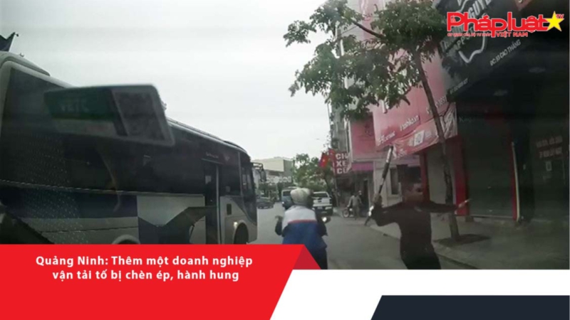 Quảng Ninh: Thêm một doanh nghiệp vận tải tố bị chèn ép, hành hung