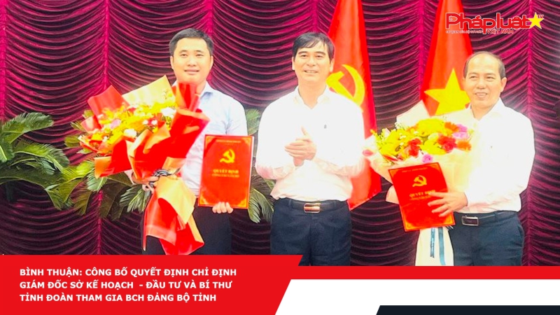 Bình Thuận: Công bố quyết định chỉ định Giám đốc Sở Kế hoạch - Đầu tư và Bí thư Tỉnh đoàn tham gia BCH Đảng bộ tỉnh