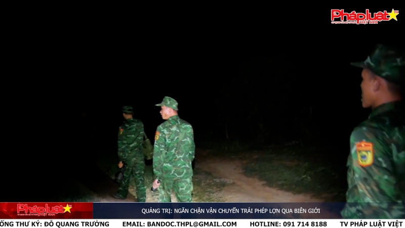 Quảng Trị: Ngăn chặn vận chuyển trái phép lợn qua biên giới