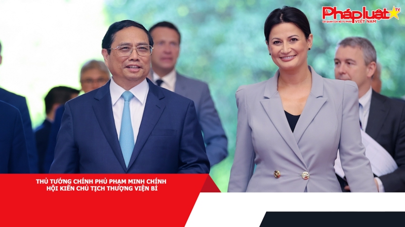 Thủ tướng Chính phủ Phạm Minh Chính hội kiến Chủ tịch Thượng viện Bỉ