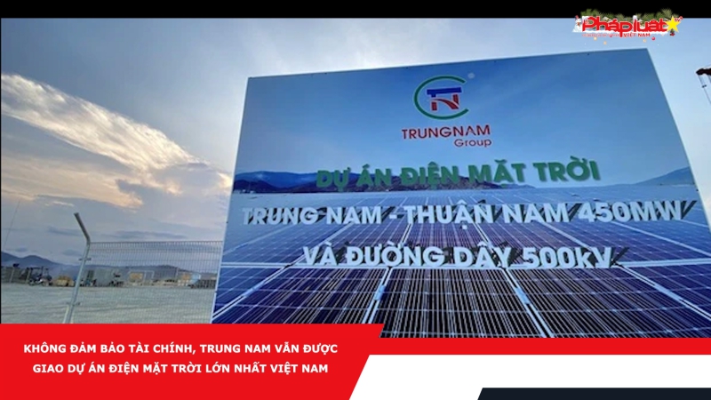 Không đảm bảo tài chính, Trung Nam vẫn được giao dự án điện mặt trời lớn nhất Việt Nam