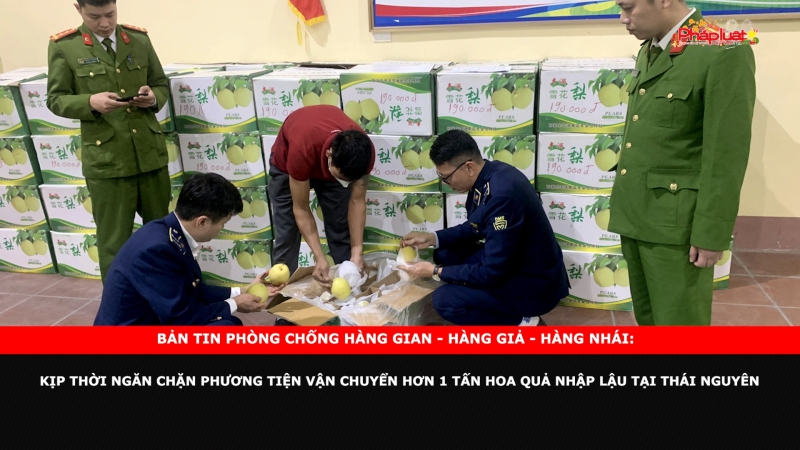 Bản tin chung tay cùng doanh nghiệp phòng chống Hàng gian- Hàng giả- Hàng nhái: Kịp thời ngăn chặn phương tiện vận chuyển hơn 1 tấn hoa quả nhập lậu tại Thái Nguyên