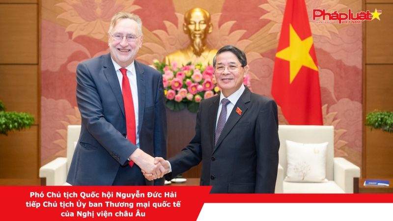 Phó Chủ tịch Quốc hội Nguyễn Đức Hải tiếp Chủ tịch Ủy ban Thương mại quốc tế của Nghị viện châu Âu
