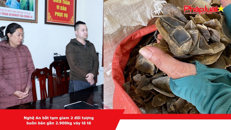 Bản tin chung tay cùng doanh nghiệp phòng chống Hàng gian- Hàng giả- Hàng nhái: Nghệ An bắt tạm giam 2 đối tượng buôn bán gần 2.900kg vảy tê tê