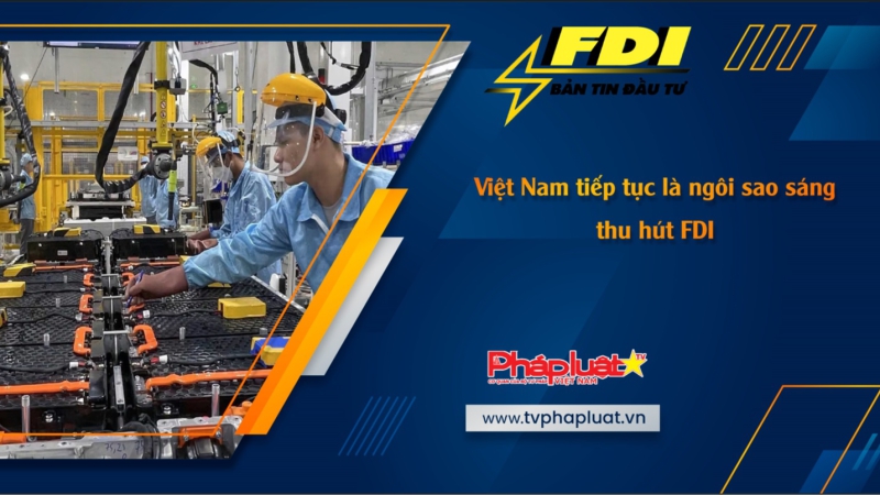 Bản tin Đầu tư FDI ngày 2/3/2024: Việt Nam tiếp tục là ngôi sao sáng thu hút FDI
