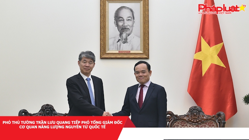 Phó Thủ tướng Trần Lưu Quang tiếp Phó Tổng Giám đốc Cơ quan Năng lượng nguyên tử quốc tế