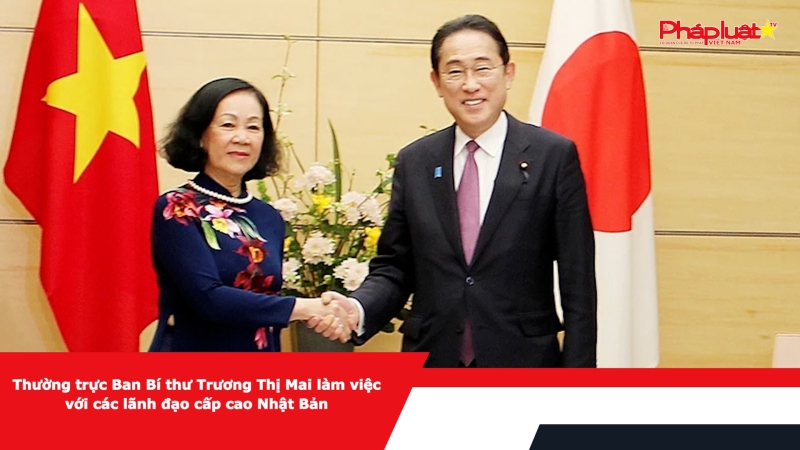 Thường trực Ban Bí thư Trương Thị Mai làm việc với các lãnh đạo cấp cao Nhật Bản
