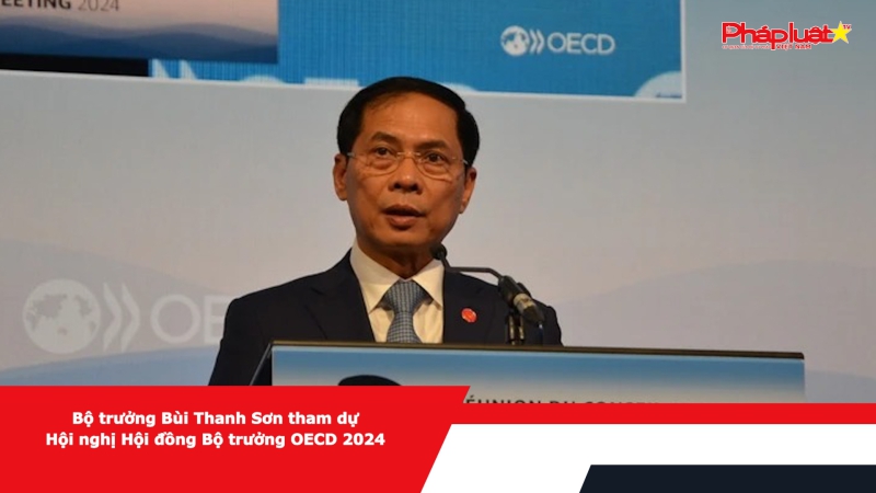 Bộ trưởng Bùi Thanh Sơn tham dự Hội nghị Hội đồng Bộ trưởng OECD 2024