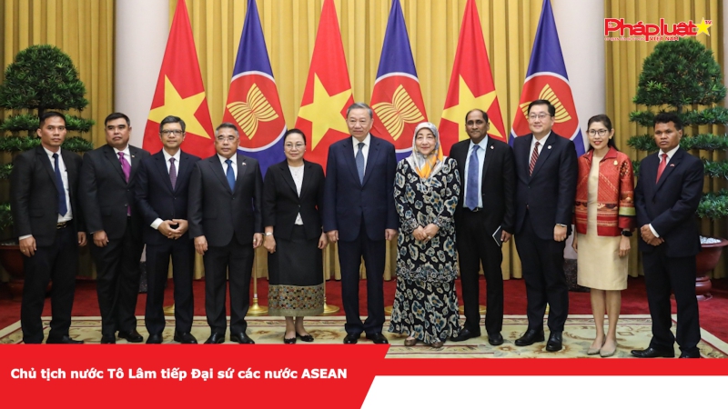 Chủ tịch nước Tô Lâm tiếp Đại sứ các nước ASEAN