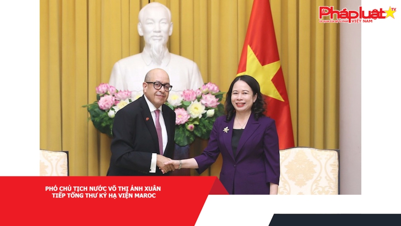 Phó Chủ tịch nước Võ Thị Ánh Xuân tiếp Tổng Thư ký Hạ viện Maroc
