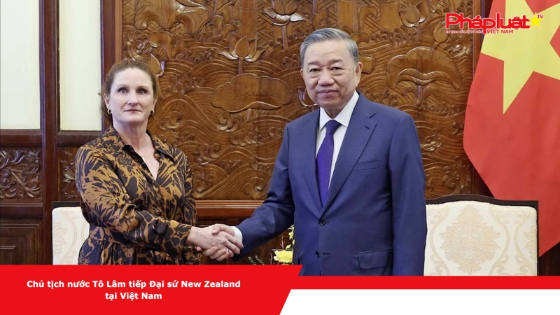 Chủ tịch nước Tô Lâm tiếp Đại sứ New Zealand tại Việt Nam