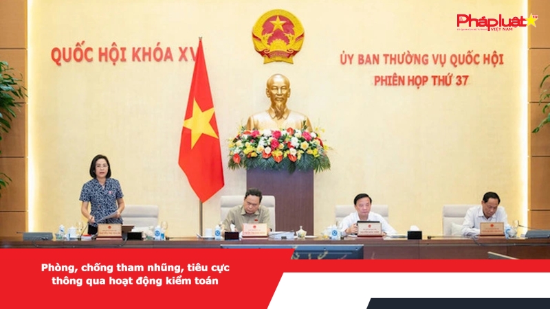 Phòng, chống tham nhũng, tiêu cực thông qua hoạt động kiểm toán