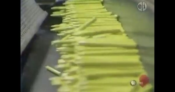 Quy trình sản xuất bút chì màu