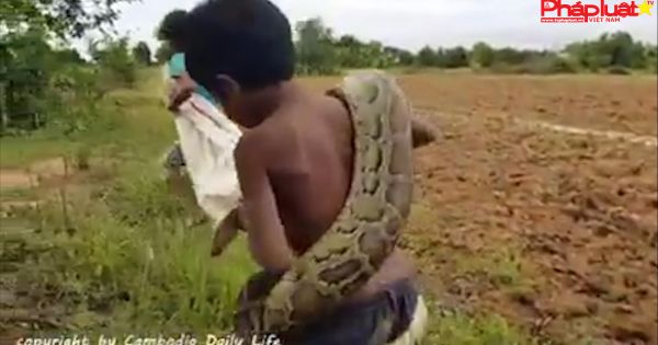Trẻ em vùng nông thôn săn rắn