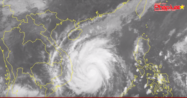 Bình Thuận: Chủ tịch UBND tỉnh chỉ đạo ứng phó với cơn bão số 12