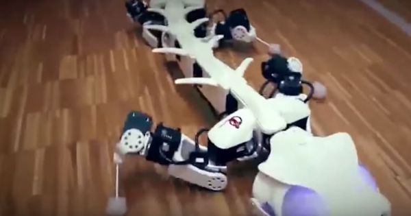 10 Robot Động Vật Hiện Đại Nhất Được Chế Tạo Khiến Bạn Kinh Ngạc