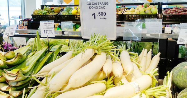 Điểm báo 22/03/2018: Hàng loạt siêu thị tham gia giải cứu củ cải, su hào; Lãnh đạo VFF, VPF 