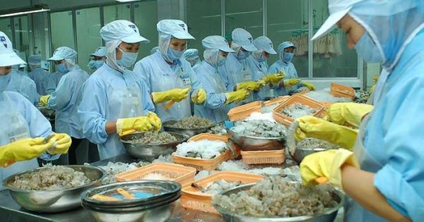 Tôm chế biến của Việt Nam bị phát hiện có chất cấm