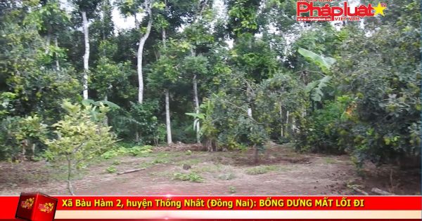 Xã Bàu Hàm 2, huyện Thống Nhất (Đồng Nai): Bỗng dưng mất lối đi