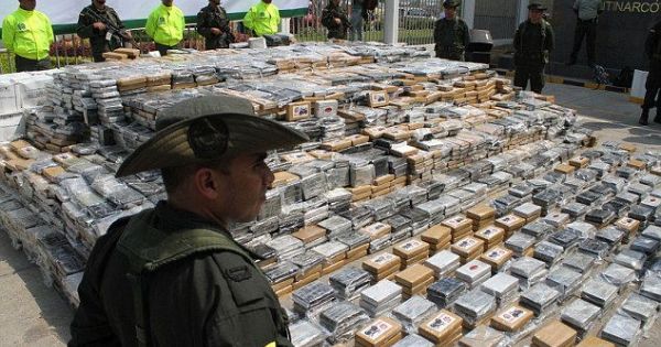 Colombia tịch thu lượng lớn nguyên vật liệu điều chế cocaine