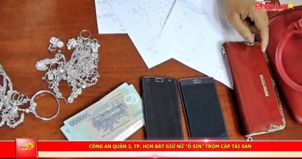 Công an quận 2, TP. HCM bắt giữ nữ “ô sin” trộm cắp tài sản