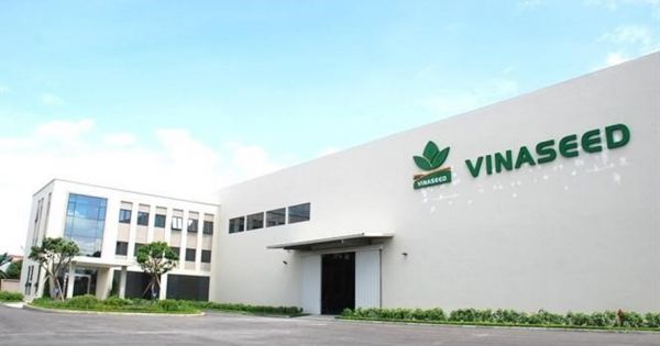 Công ty VINASEED bị phạt 25 triệu đồng, nông dân Hà Tĩnh không đồng tình