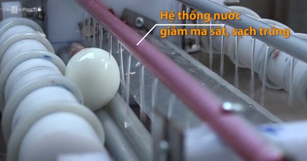 Chàng trai chế tạo máy bóc 3.000 vỏ trứng mỗi giờ ở Sài Gòn
