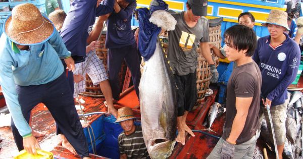 Ngăn chặn khai thác thủy sản trái pháp luật khu vực biên giới biển Phú Yên