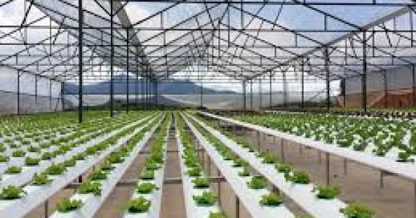“Nông nghiệp ASEAN cần đẩy mạnh ứng dụng công nghệ 4.0”