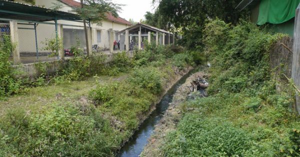 Bình Định: Nước thải từ Cụm công nghiệp Cát Trinh gây ô nhiễm môi trường