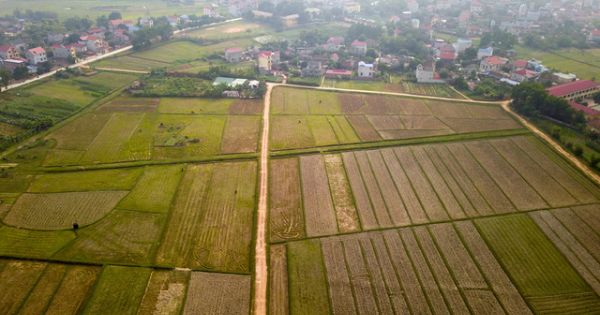 Toàn cảnh khu đất 100 ha dự kiến làm trường đua ngựa tại Hà Nội