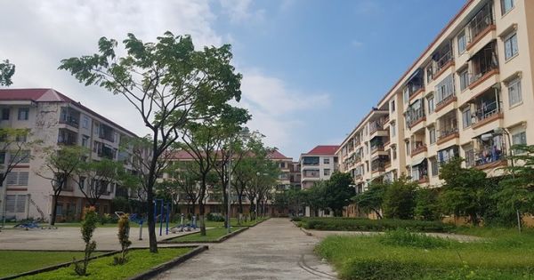 Đà Nẵng: Nhan nhản tin rao bán căn hộ chung cư nhà nước trái phép