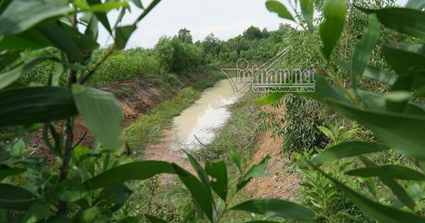 Công an tỉnh Đồng Nai vào cuộc vụ đoàn xe san lấp hồ nước thải
