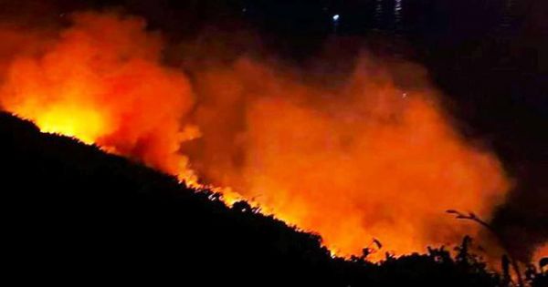 Đà Nẵng: Đám cháy trên 5000 mét vuông trên bán đảo Sơn Trà đã được dập tắt