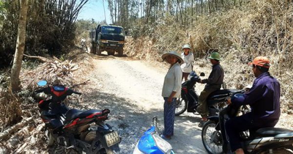 Vụ đào núi trái phép ở Phúc Cát, Bình Định: Xử phạt thêm một số doanh nghiệp, cá nhân