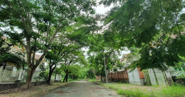 Đồng Nai: Hàng loạt chung cư, biệt thự bỏ hoang ở Nhơn Trạch