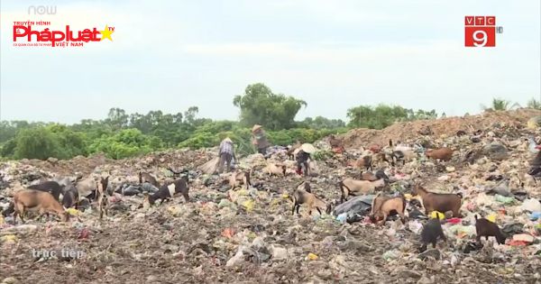 Sầm Sơn: Bãi rác quá tải gây ô nhiễm môi trường