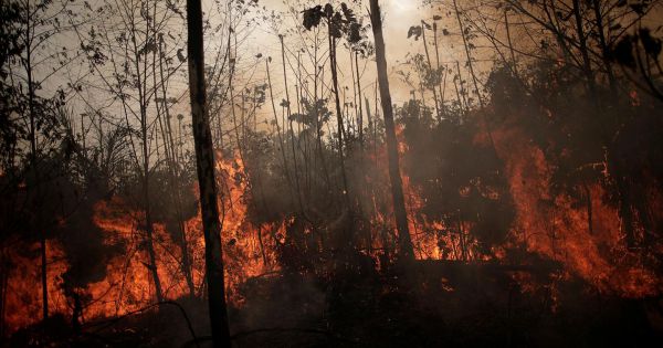 Cháy rừng Amazon lan rộng, Brazil triển khai quân đội
