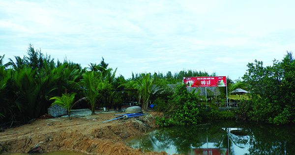 Quảng Nam: Xử phạt doanh nghiệp “xẻ” đất rừng dừa Bảy Mẫu