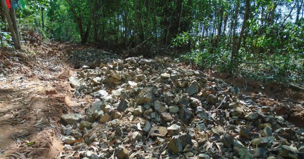 Ngang nhiên san ủi trái phép đất rừng tại Bình Thuận