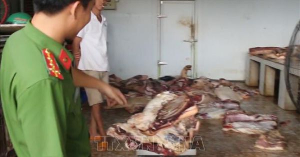Bình Phước: Phát Hiện 790 Kg Thịt Heo Đã Đổi Màu Và Bốc Mùi Hôi