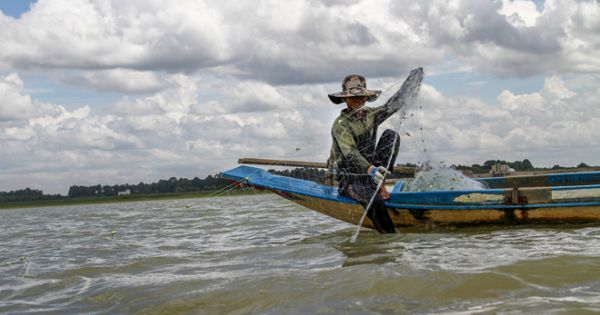 Tây Ninh nghiêm cấm đánh bắt cá tại khu vực thả cá giống hồ Dầu Tiếng