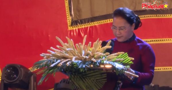 Bến Tre kỷ niệm 60 năm ngày Đồng khởi và 100 năm ngày sinh nữ tướng Nguyễn Thị Định, anh hùng lực lượng vũ trang.
