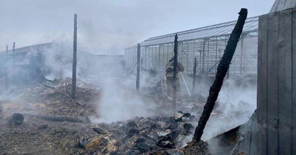 Kêu gọi hỗ trợ nạn nhân trong vụ cháy ở ngoại ô Matxcơva