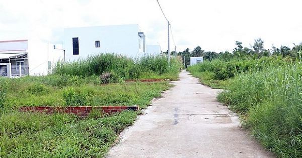 TP.HCM xin chuyển 384ha đất nông nghiệp ở Hóc Môn để phát triển đô thị