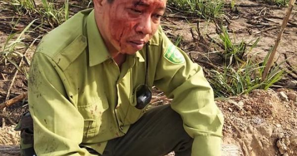 Đắk Lắk: Lâm tặc manh động, vây đánh kiểm lâm toác đầu