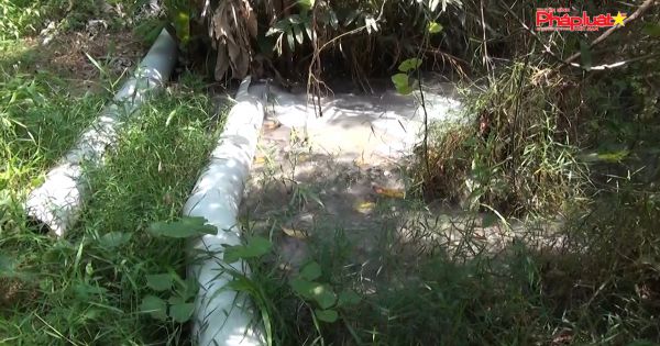 Kiên Giang – Bắt quả tang cơ sở giặt ủi xả nước thải không qua xử lý ra môi trường