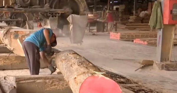 Khó khăn bủa vây ngành gỗ ở Đồng Nai